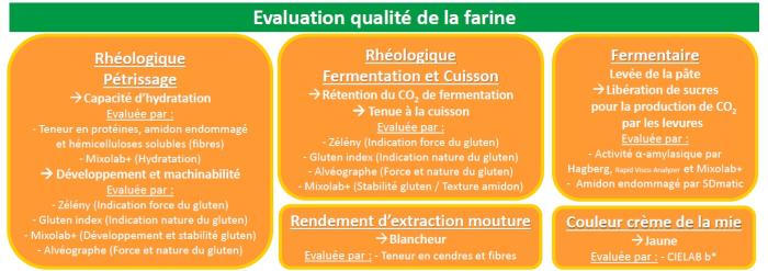 evaluation-qualite-farines-panifiable